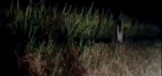 ‘Gong Goi’ ghost video goes viral in Thailand