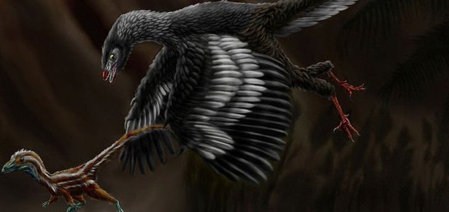 New species of ‘first bird’ Archaeopteryx found