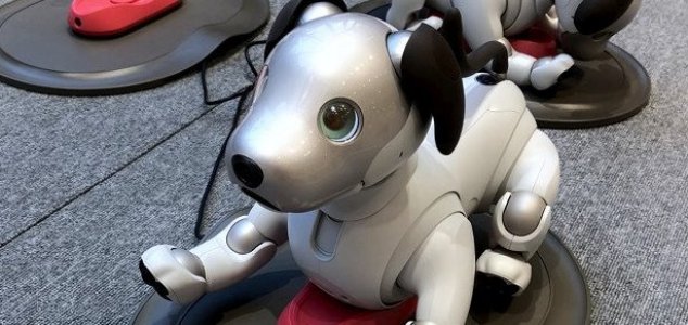 Sony to bring its Aibo robotic dog to the US