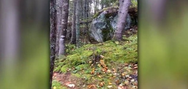 Bizarre clip shows Quebec forest ‘breathing’